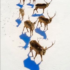 Meet your Posher, Michael